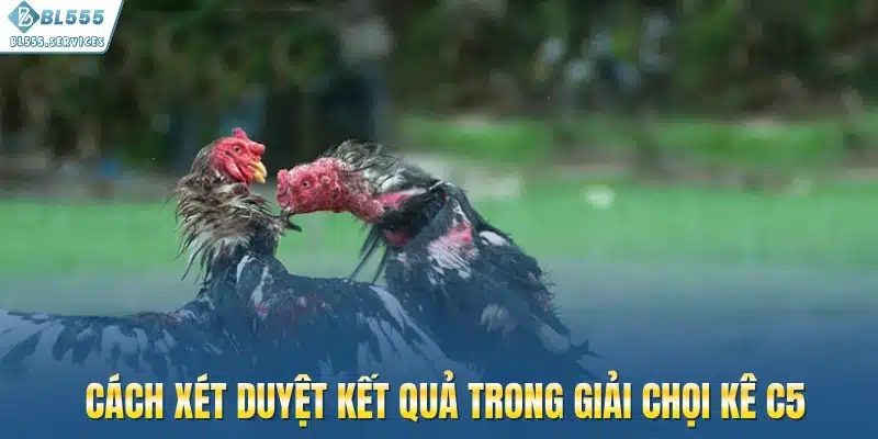 Cách xét duyệt kết quả trong giải chọi kê C5