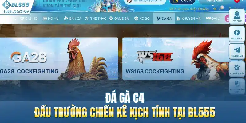 Đá Gà C4 - Đấu Trường Chiến Kê Kịch Tính Tại BL555