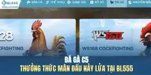 Đá Gà C5: Thưởng Thức Màn Đấu Nảy Lửa Tại BL555