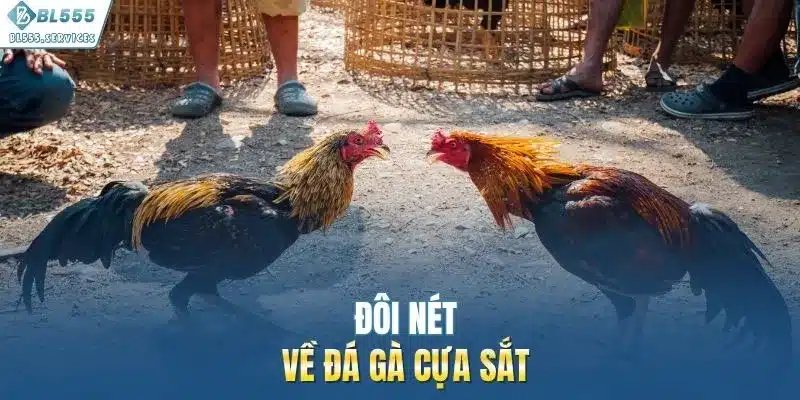 Đôi nét về đá gà cựa sắt